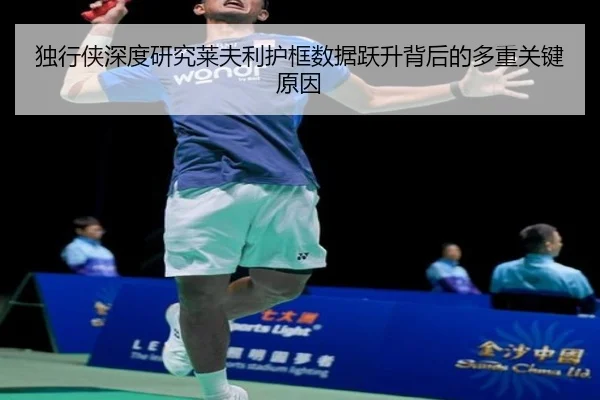 独行侠深度研究莱夫利护框数据跃升背后的多重关键原因