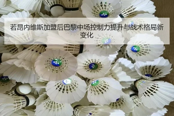 若昂内维斯加盟后巴黎中场控制力提升与战术格局新变化